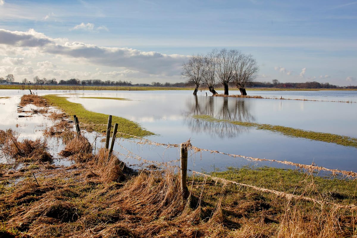 Naturgenopretning af Søborg Sø: Storstilet projekt i Nordsjælland er ...