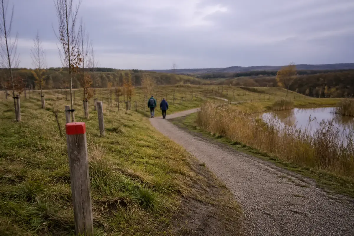 Anebjerg Skov Lovguiden