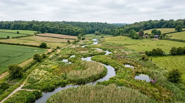 This aerial landscape captures a lush, meandering river valley where vibrant wetlands, filled with reeds and wildflowers, transition into rolling agricultural fields and dense woodland. The scene evokes a tranquil, harmonious mood, showcasing the natural beauty of a restored riparian ecosystem nestled within a pastoral countryside.